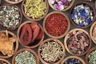 گیاهان دارویی و خواص آنها