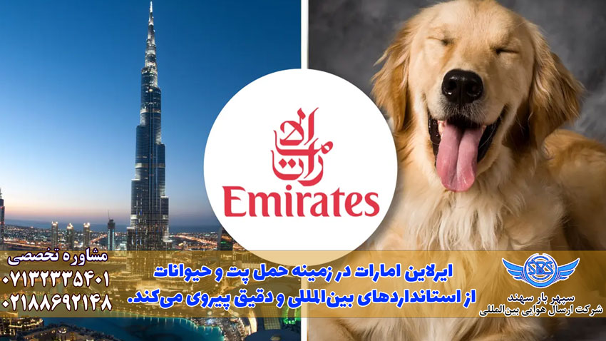 شرایط حمل پت با هواپیمایی امارات