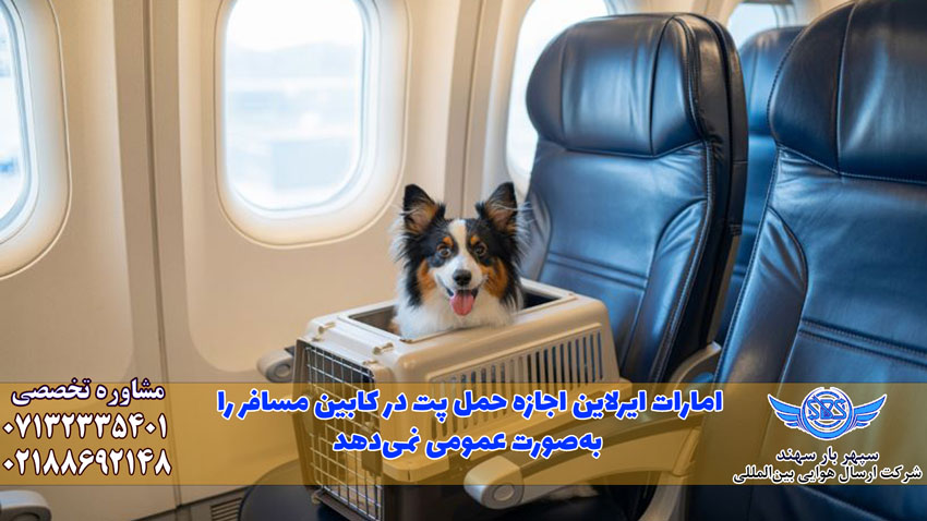 هزینه حمل پت با هواپیمایی امارات