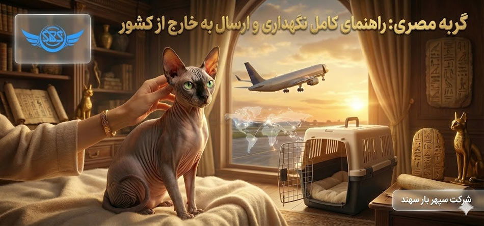گربه مصری