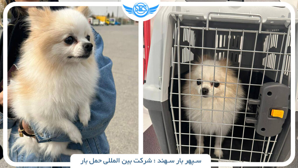 ارسال پت از تهران 2 ارسال پت از تهران