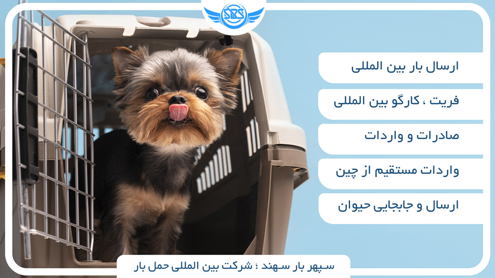 بردن حیوان خانگی به کانادا