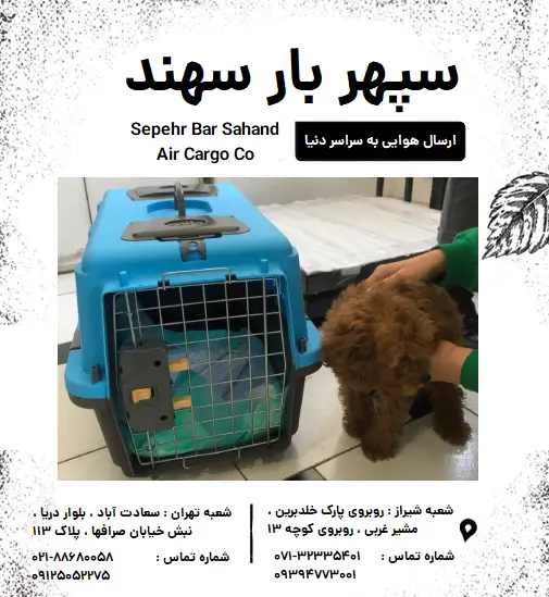حمل و نقل حیوانات ، حمل حیوانات ، حمل نقل حیوانات 1 حمل و نقل حیوانات خانگی