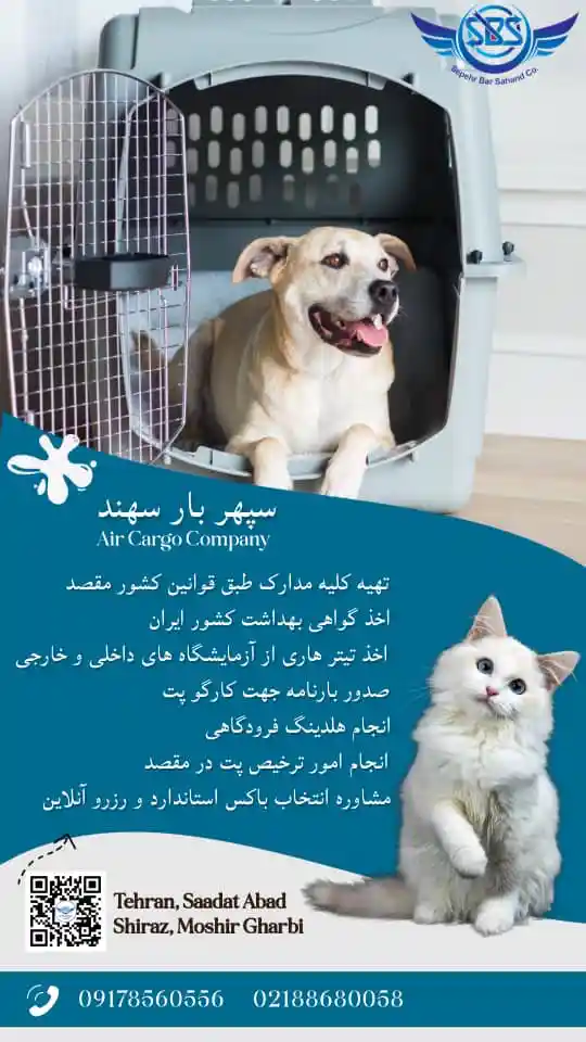 حمل و نقل پت