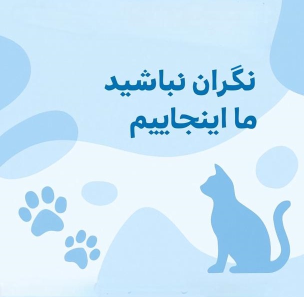 خروج پت از مرزهای زمینی ، خروج حیوانات خانگی از مرزهای زمینی
