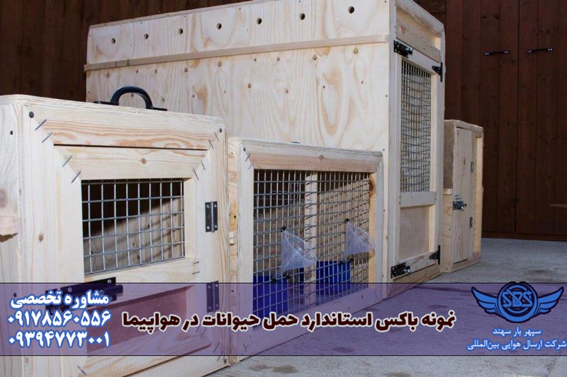 باکس حمل حیوان با هواپیما