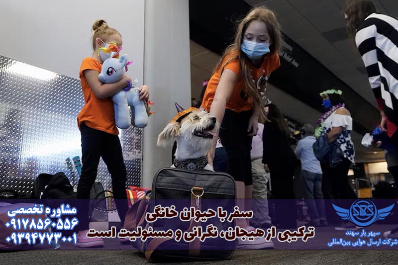 حمل حیوان با هواپیما