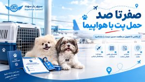 حمل پت با هواپیما