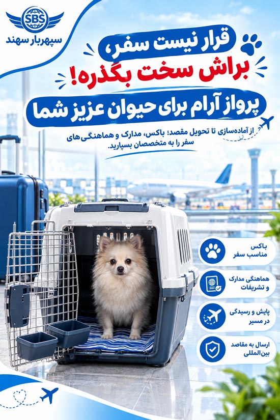 حمل حیوان زنده و حیوانات خانگی با پرواز 2 حمل پت با هواپیما