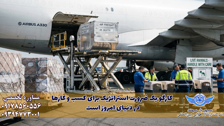 کارگو چیست؟ هزینه، قوانین و ارسال بار از طریق کارگو 2026 1 کارگو چیست