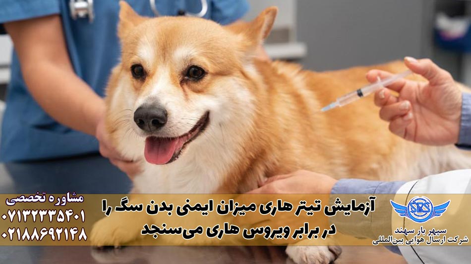 آزمایش تیتر هاری سگ
