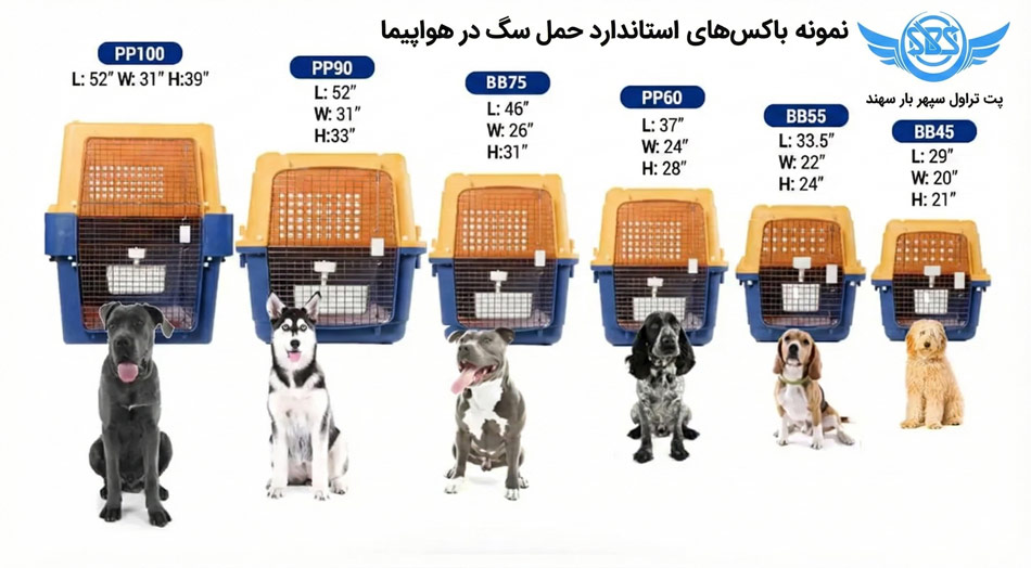 انتخاب دقیق باکس حمل پت در هواپیما (آپدیت 2026) 1 باکس حمل سگ در هواپیما و نمونه باکس حمل پت