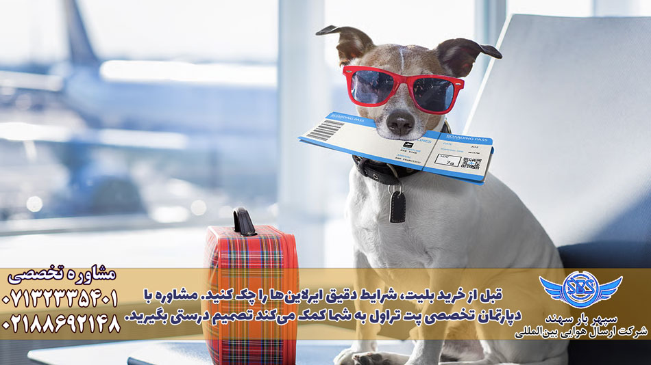 ارسال پت در زمستان + اصول و قوانین (2026) 1 ارسال پت با هواپیما