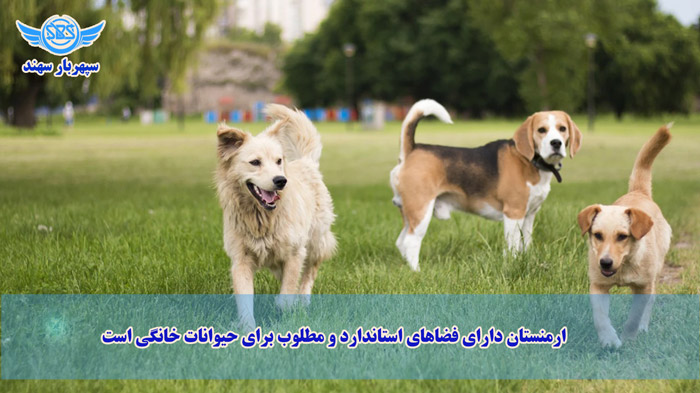 ارسال پت به ارمنستان از ایران: مسافرت و مهاجرت با پت (2026) 1 ارسال پت به ارمنستان از ایران ؛ مهاجرت و مسافرت به ارمنستان به همراه پت