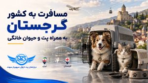 مسافرت با پت به گرجستان