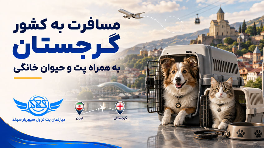 مسافرت با پت به گرجستان