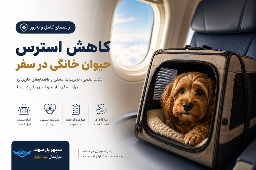 کاهش استرس حیوان خانگی در سفر و مهاجرت