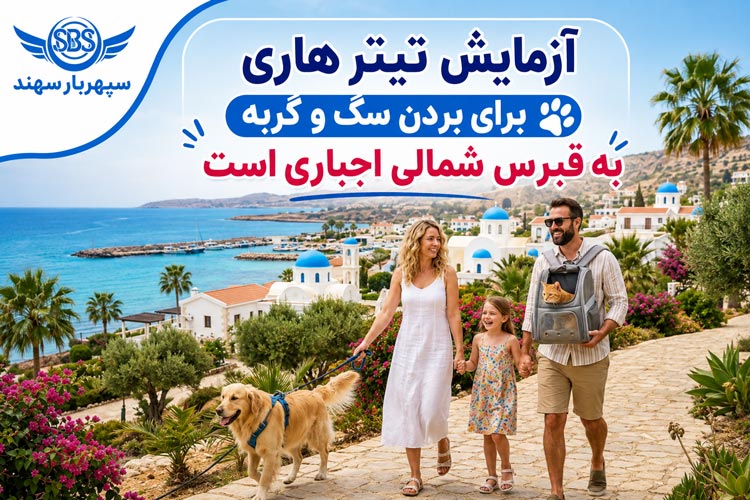 بردن سگ و گربه به قبرس: مسافرت به قبرس به همراه حیوان خانگی 1 آزمایش تیتر هاری برای بردن سگ و گربه به قبرس شمالی