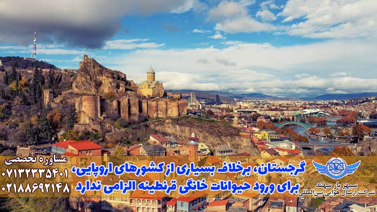 مسافرت با پت به گرجستان، مسافرت به گرجستان به همراه حیوان خانگی