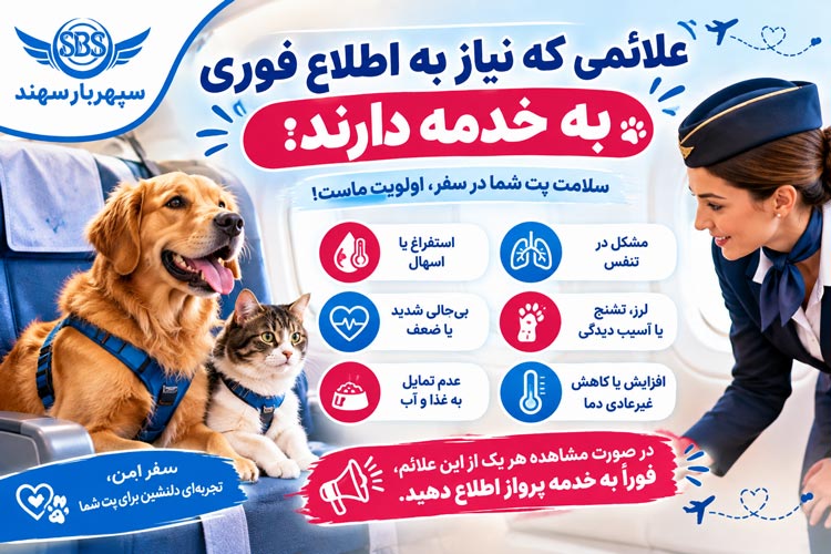 حمل سگ و گربه در هواپیما