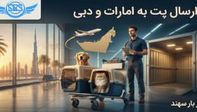 ارسال پت به امارات و دبی