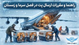 ارسال پت در فصل زمستان