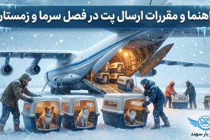 ارسال پت در فصل زمستان