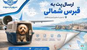 بردن سگ و گربه به قبرس شمالی