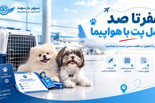 حمل پت با هواپیما