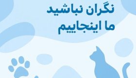 خروج پت از مرزهای زمینی ، خروج حیوانات خانگی از مرزهای زمینی