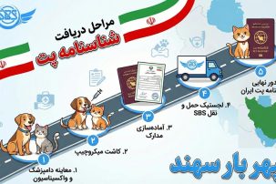 مراحل دریافت شناسنامه پت