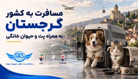 مسافرت با پت به گرجستان