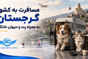 مسافرت با پت به گرجستان