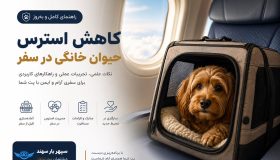 کاهش استرس حیوان خانگی در سفر و مهاجرت