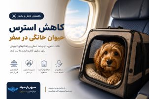 کاهش استرس حیوان خانگی در سفر و مهاجرت